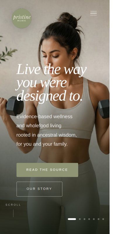 The Pristine site on a phone