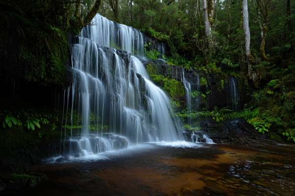 Nature Immersion
