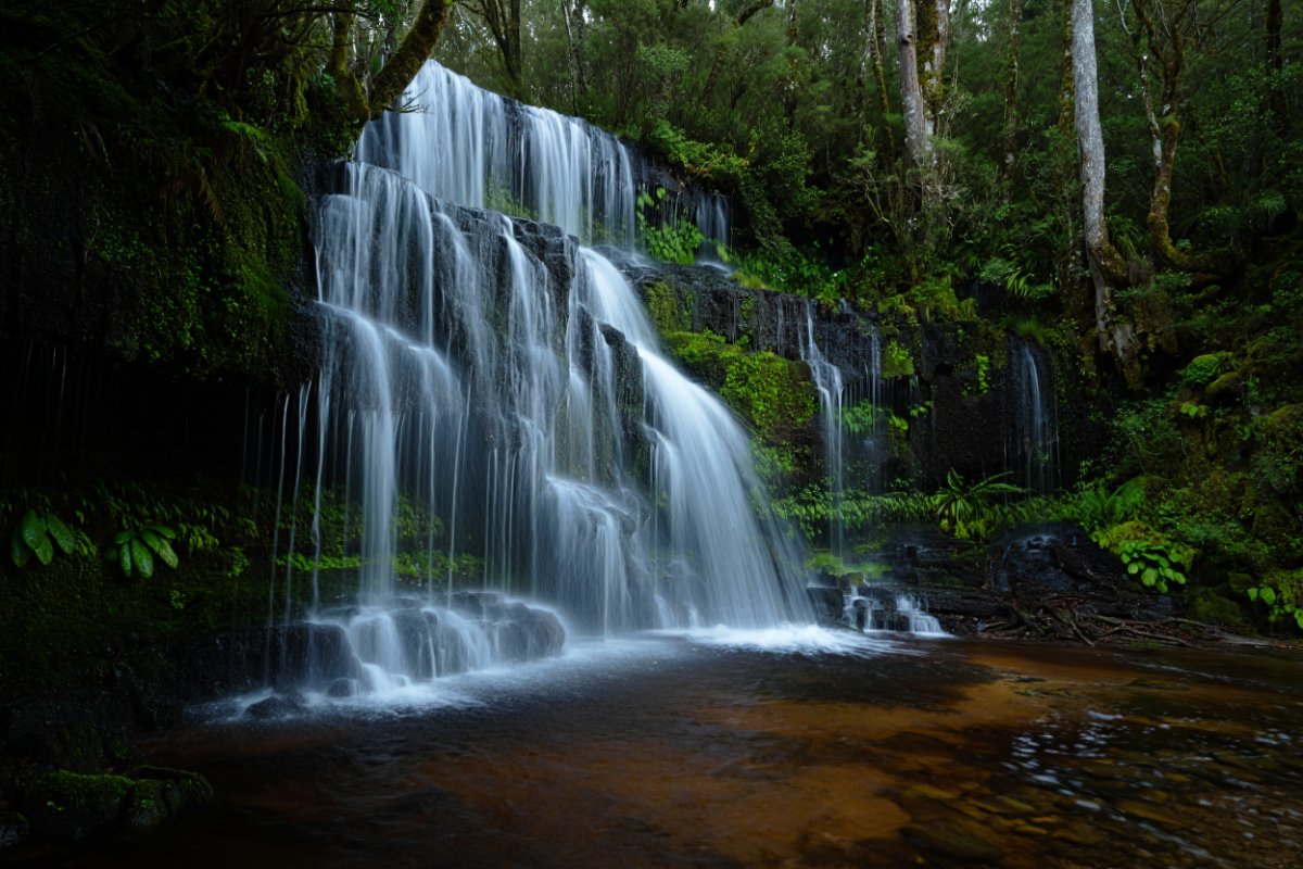 The Source, wellness articles